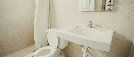 Un baño con inodoro, lavamanos y ducha.