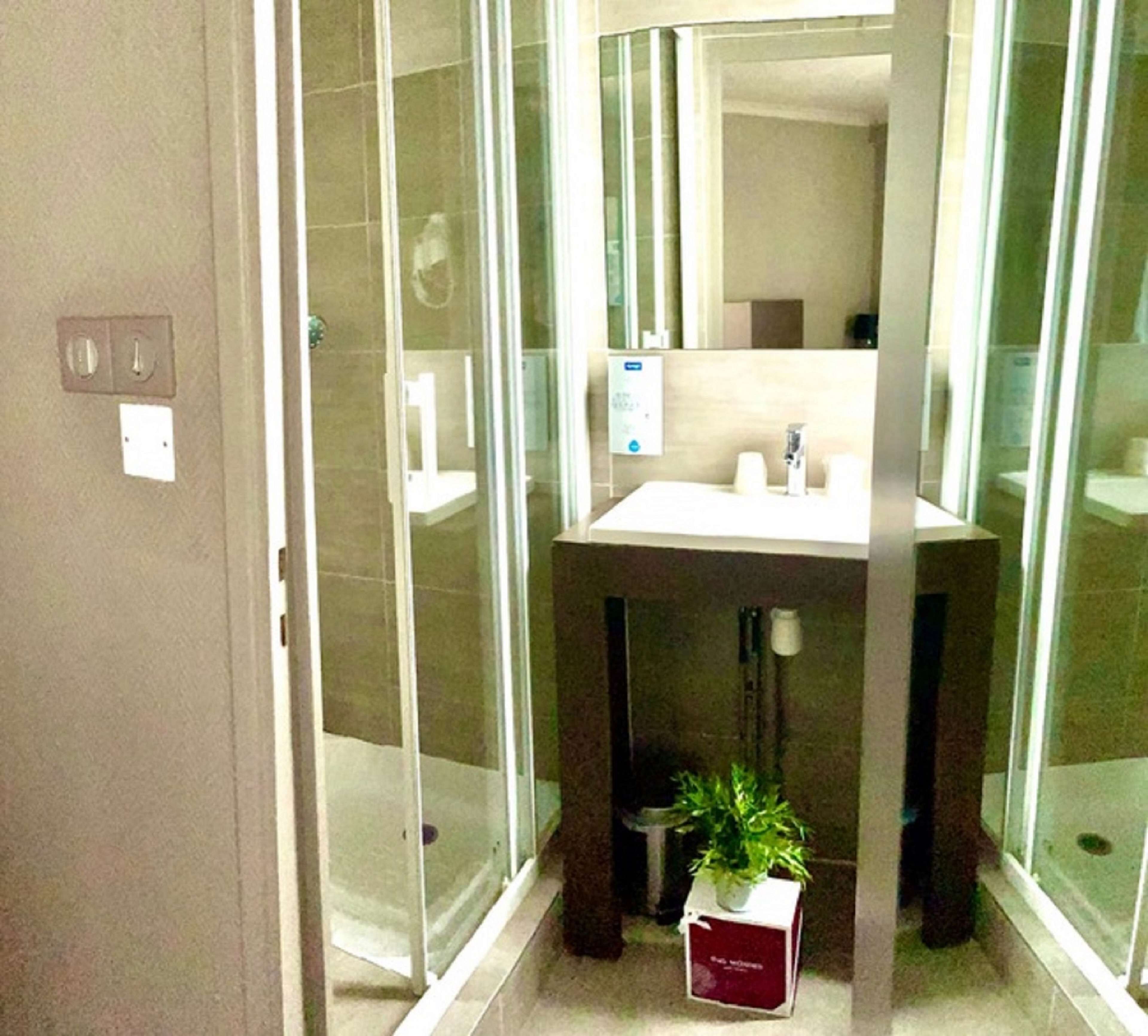 A modern bathroom with a glass shower enclosure, a white sink, and a potted plant.