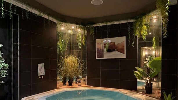 A hot tub with a tiled deck, surrounded by dark walls and potted plants. - Hotel Kyriad Vichy Spa Cinq Mondes (Vichy)