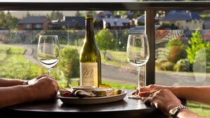 A table with a bottle of wine, two glasses, and a plate with cheese and grapes.