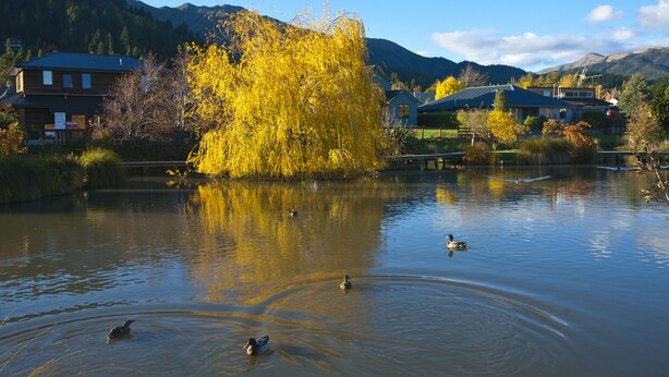 A serene lake with ducks, surrounded by autumn-colored trees and houses.