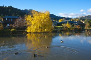 Un lago tranquilo con patos, rodeado de árboles de colores otoñales y casas.