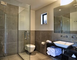 Deluxe Studio | Bathroom | Shower, free toiletries, hair dryer, bathrobes