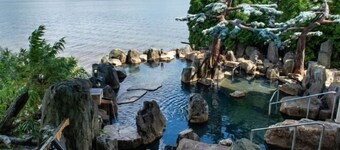 THE FOREST AKAN TSURUGA RESORT