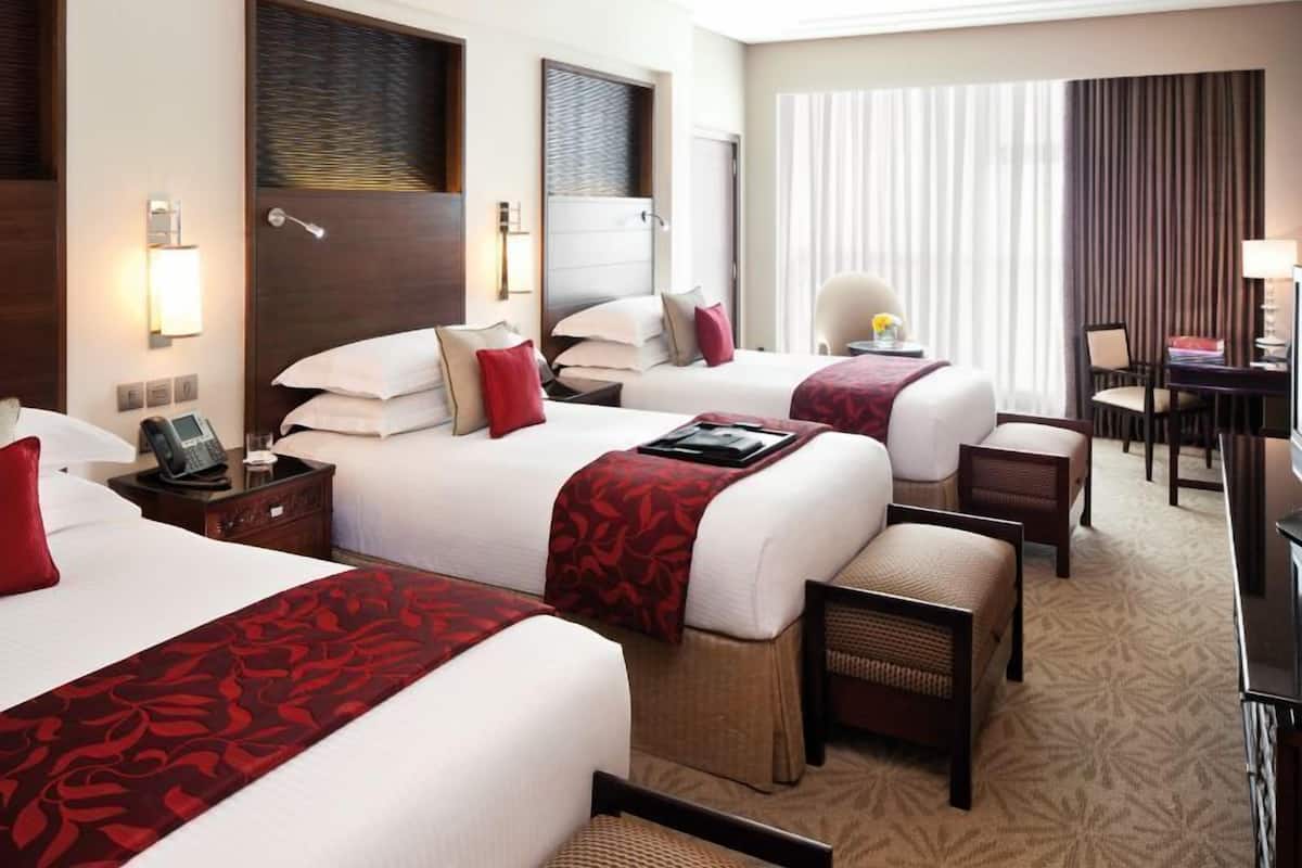 Triple Room, 3 Twin Beds, City View | View from room