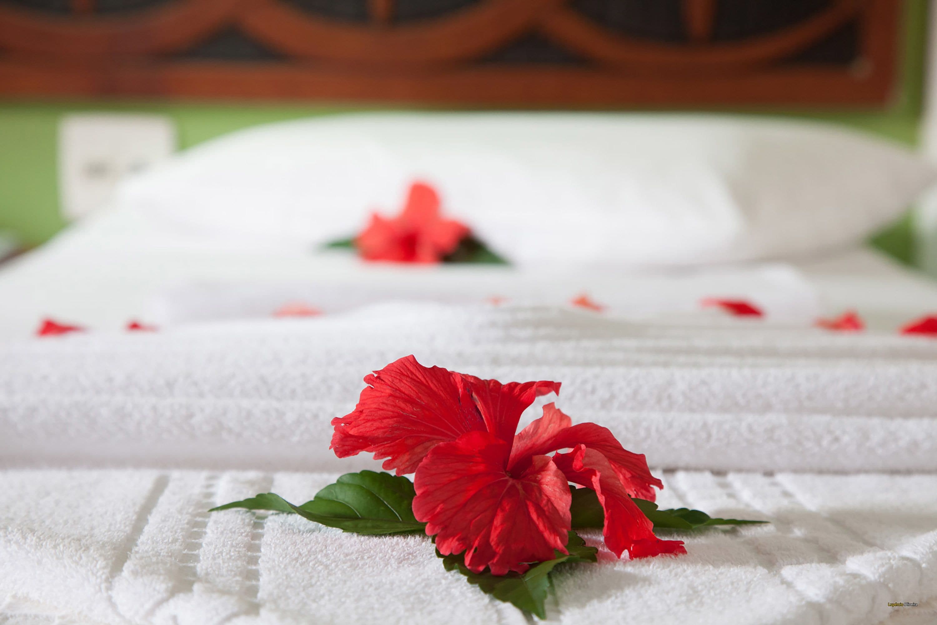 quarto luxo superior familiar | room amenity