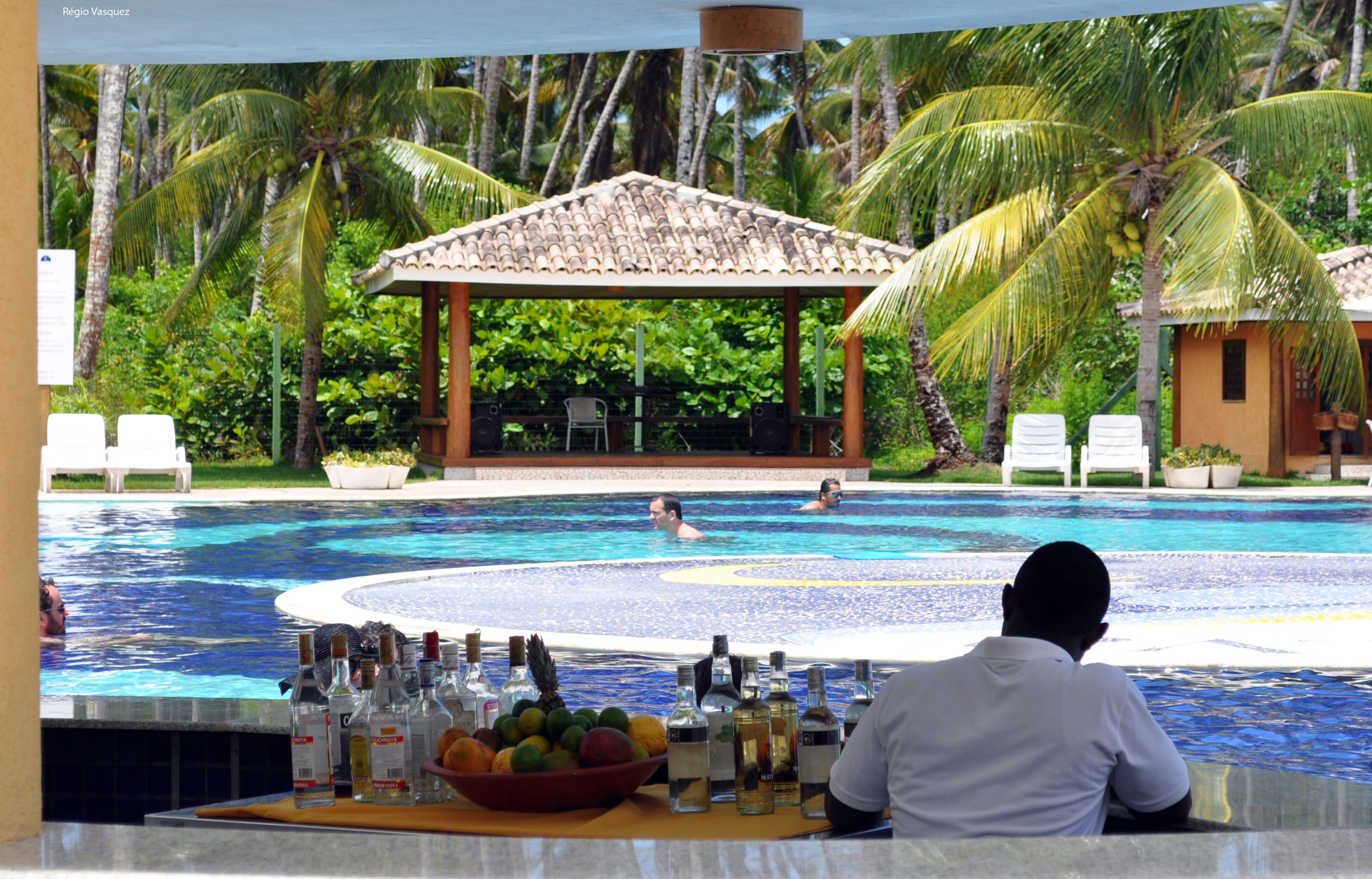 A poolside bar with a tropical setting, including a pool, lounge chairs, and a covered seating area.