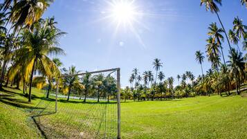Um campo de futebol com um gol de futebol, rodeado por palmeiras e um céu claro.
