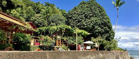 A coastal hotel with a concrete barrier, lush greenery, and a clear blue sky.