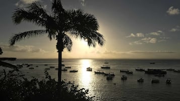 Vista desde la propiedad