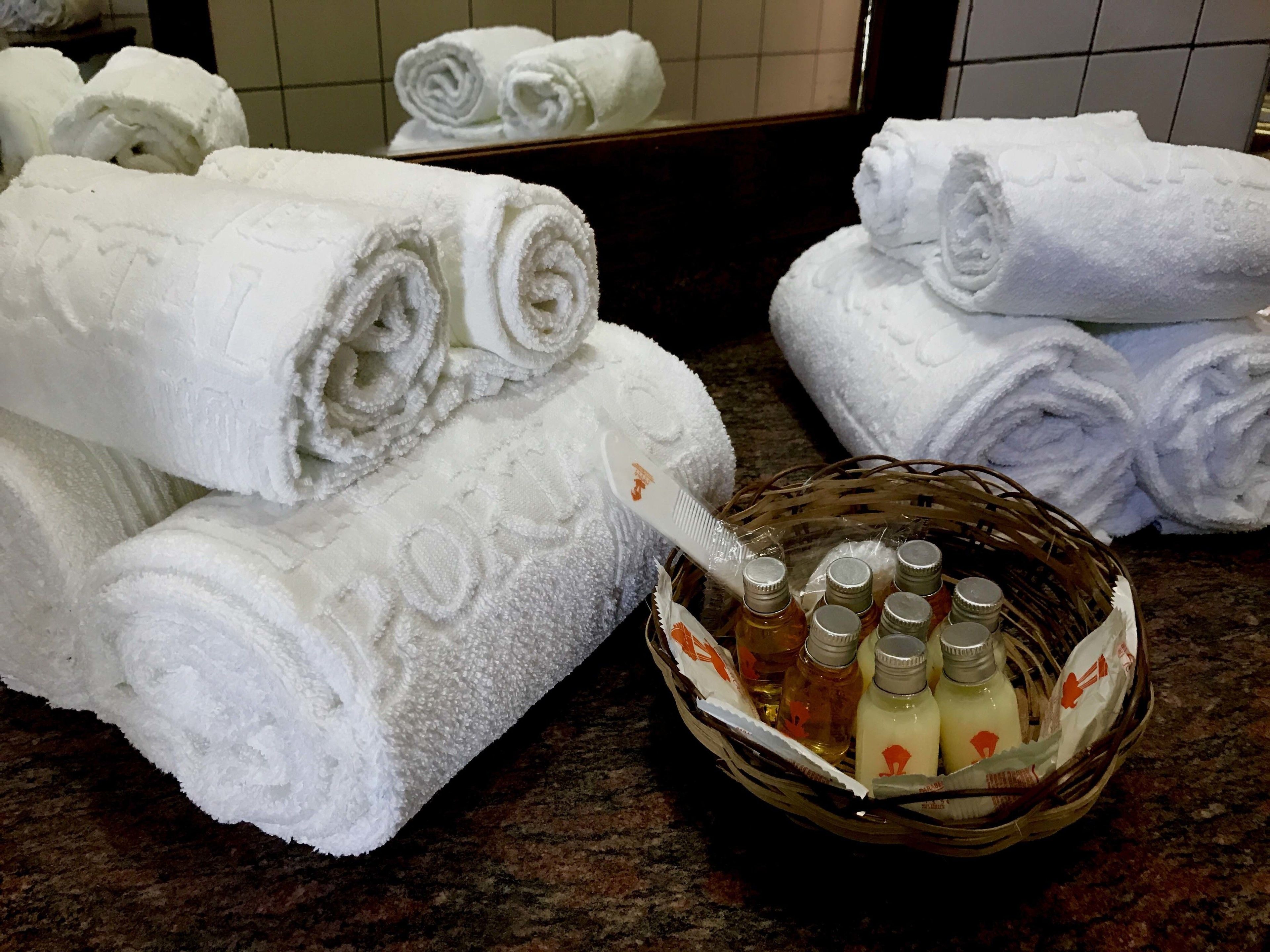 deluxe chalet (master) | bathroom amenities | free toiletries, hair dryer, towels
