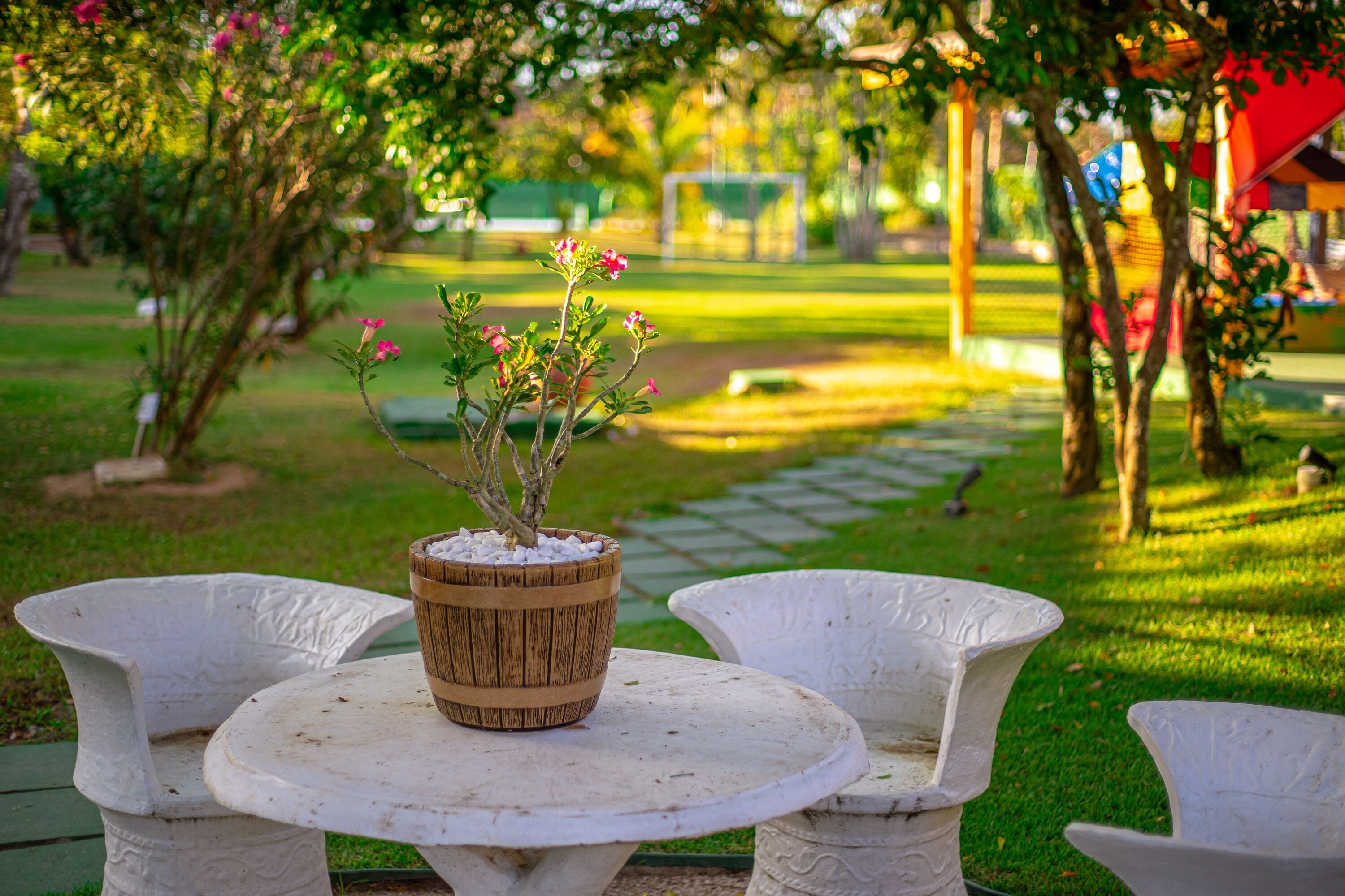 A garden setting with a white table and chairs, a wooden planter with flowers, and a green lawn.