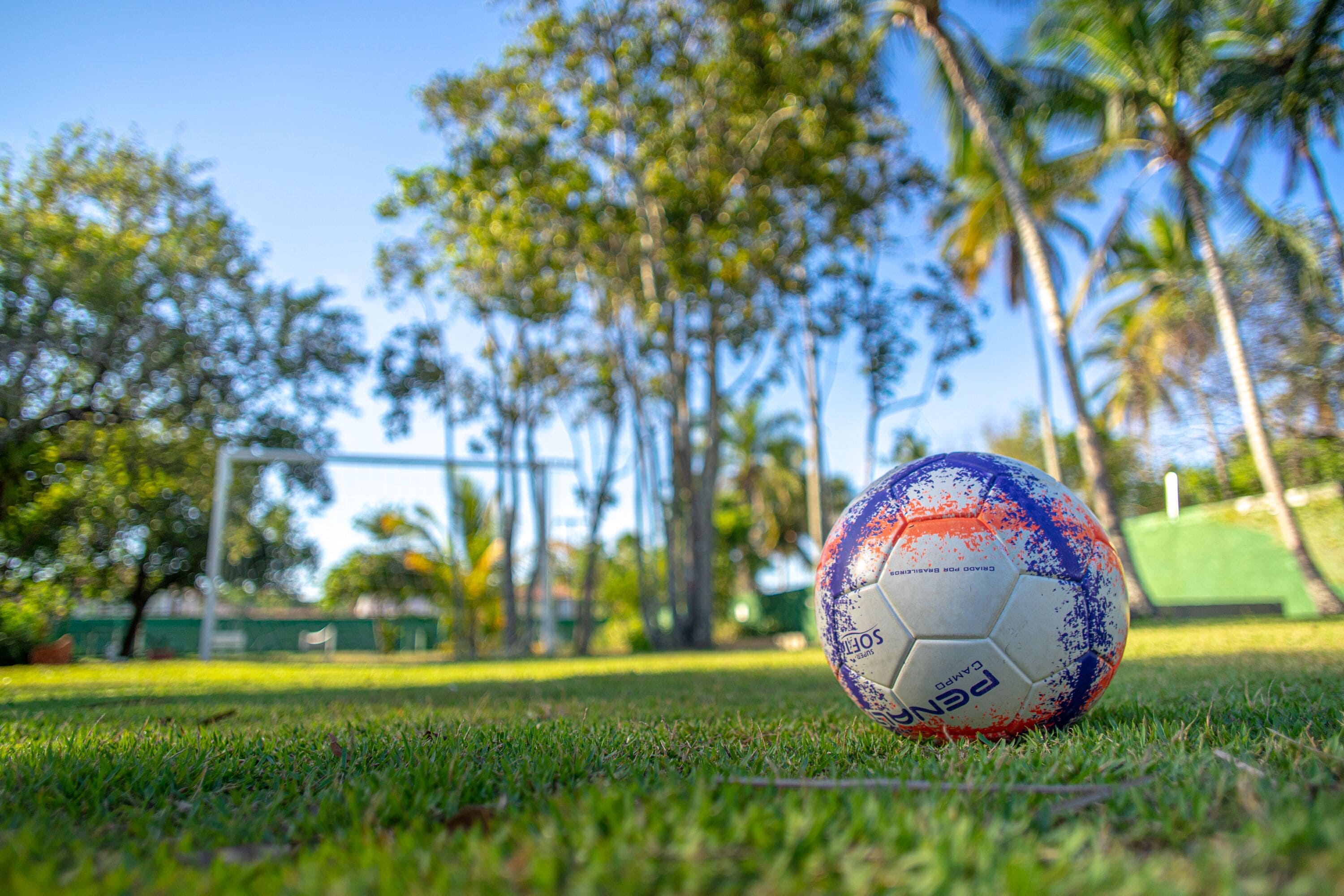 A soccer ball on a grassy field with trees and a clear sky in the background.