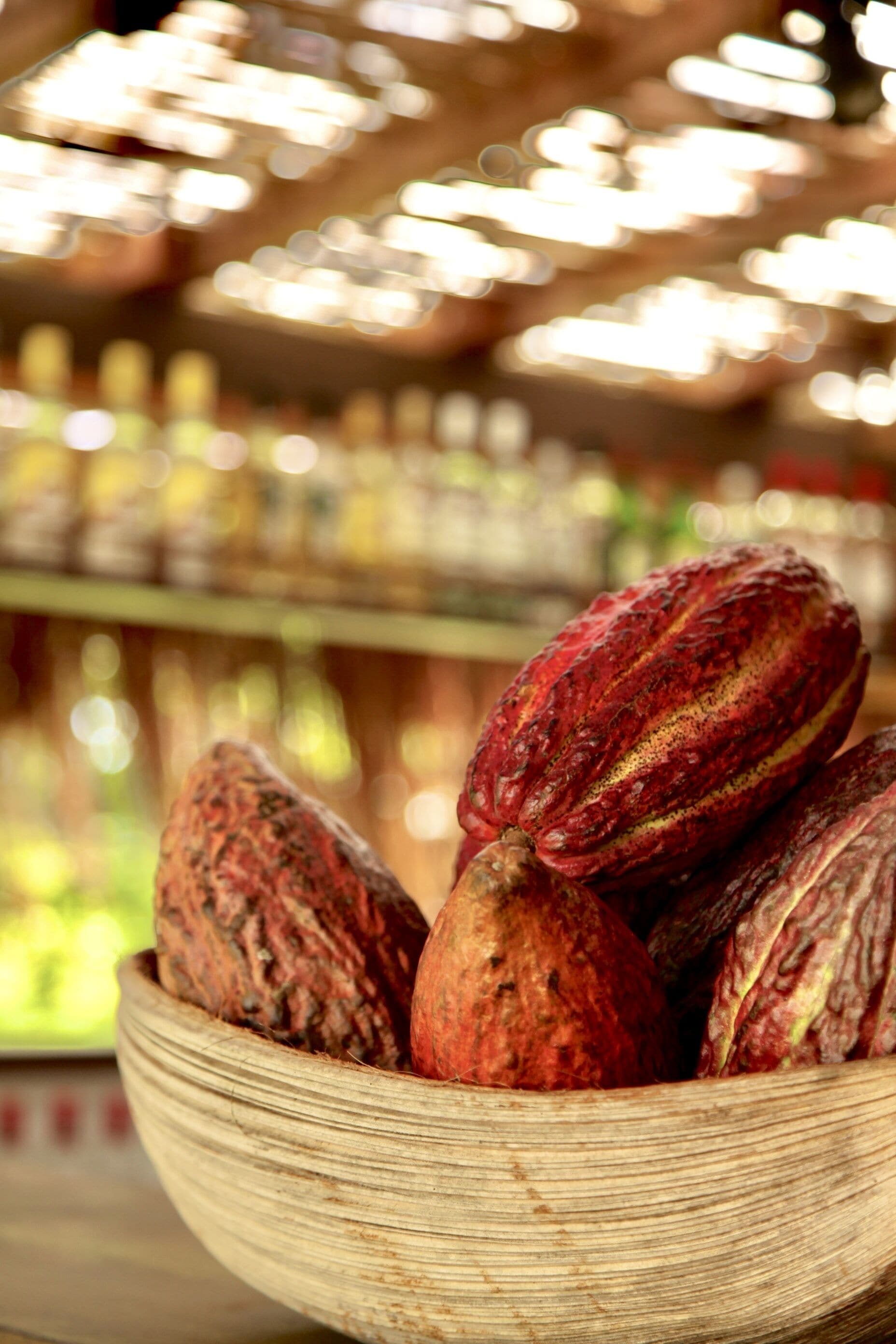 Un bol de cabosses de cacao.