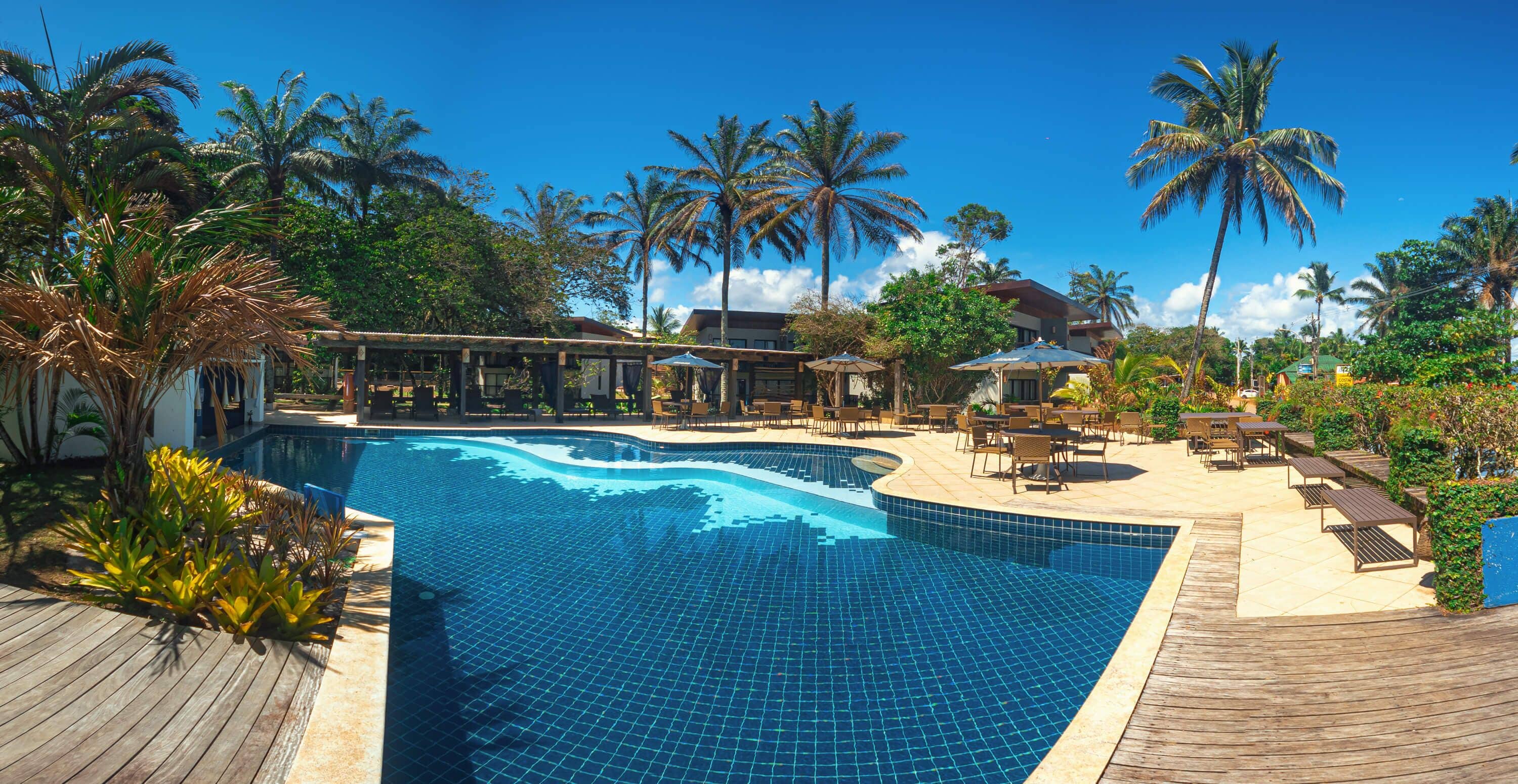 Piscina com deck de madeira, rodeada por palmeiras e espreguiçadeiras.