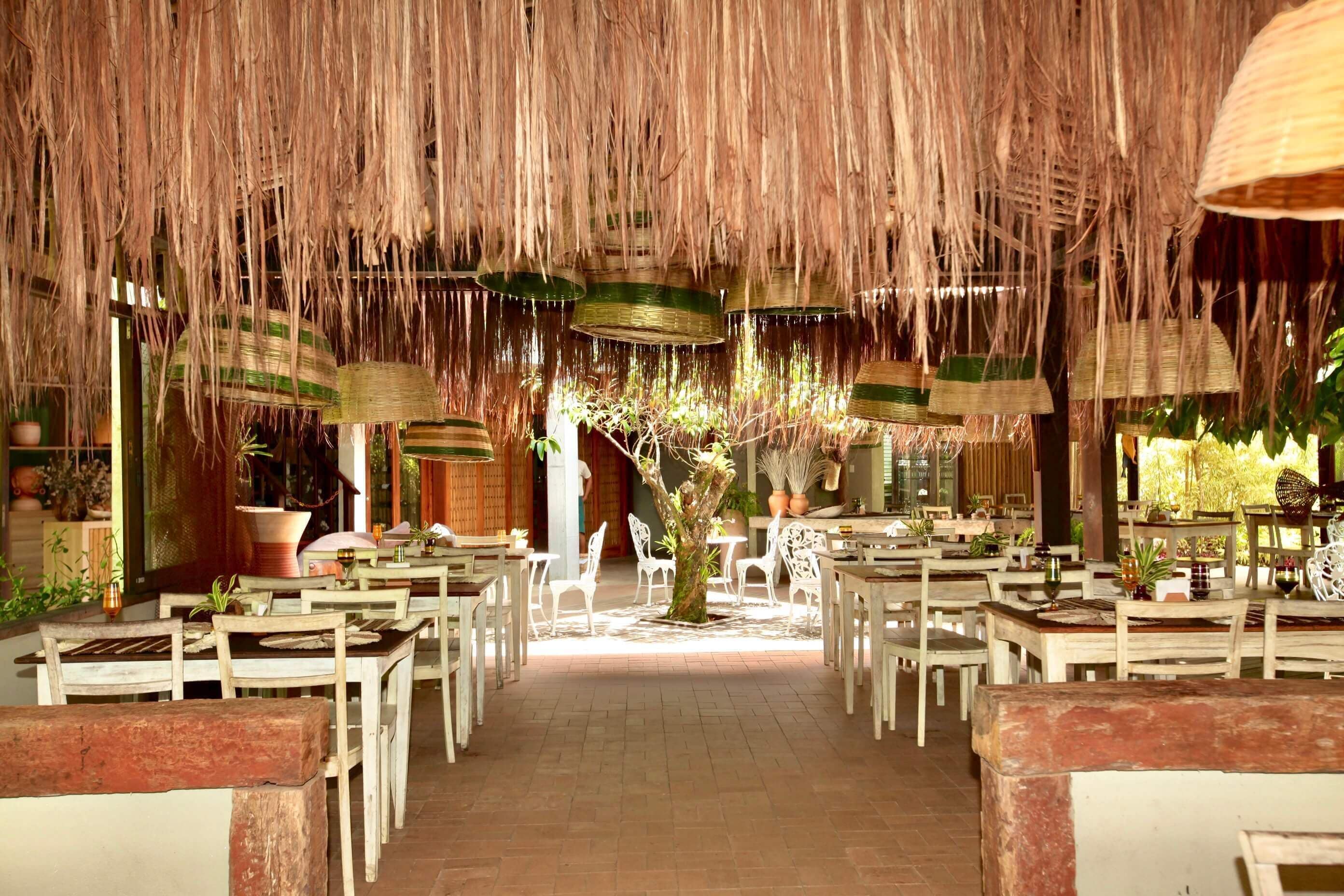Un espace de restauration intérieur avec des chaises et des tables blanches, un arbre central et des plafonds recouverts de chaume.