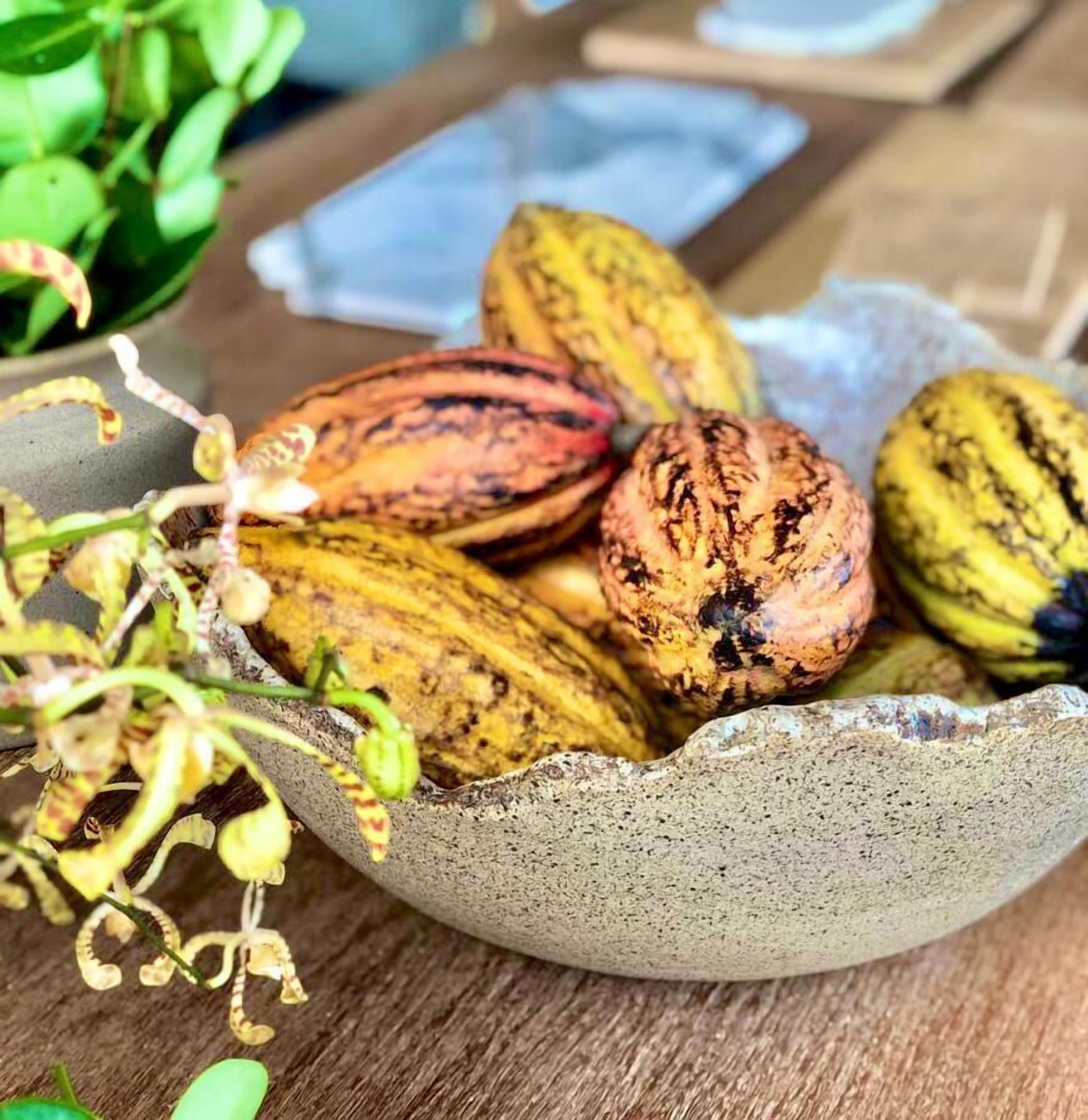 A ceramic bowl containing several nuts, surrounded by green plants.