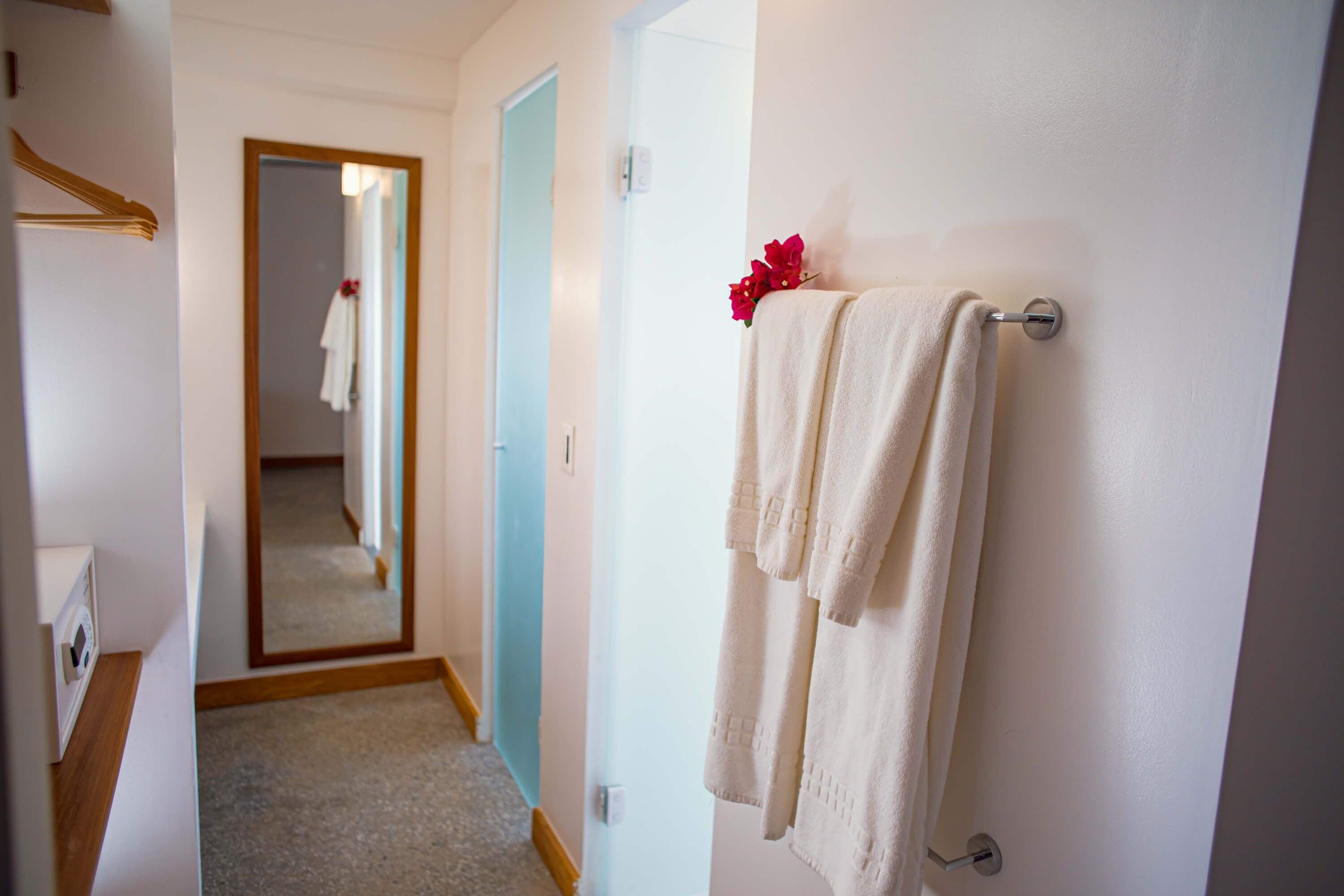 shower, free toiletries, hair dryer, towels