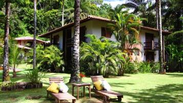 Jardim