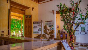 A reception area with a wooden counter, a display of coconuts, and informational posters on the wall. - Mansión de Chocolate (Granada)