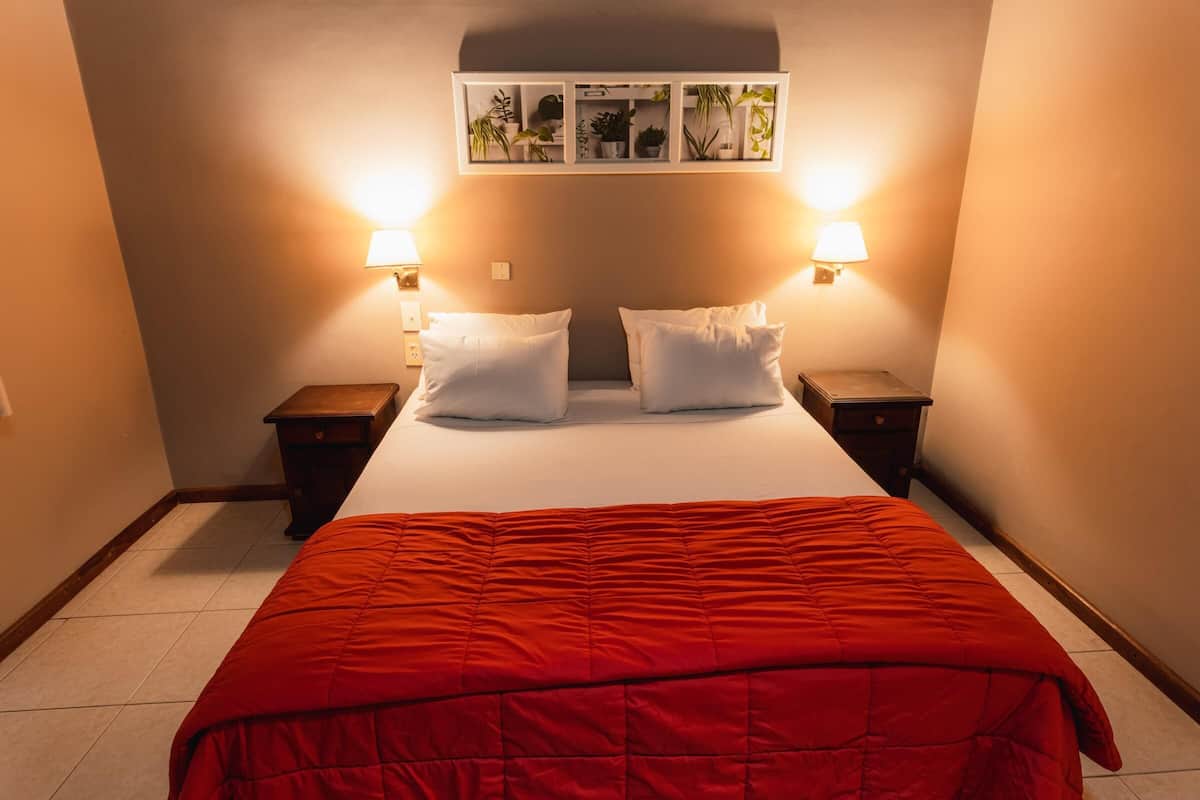A hotel room with a bed, two bedside tables, two wall-mounted lamps, and a wall-mounted shelf with plants.
