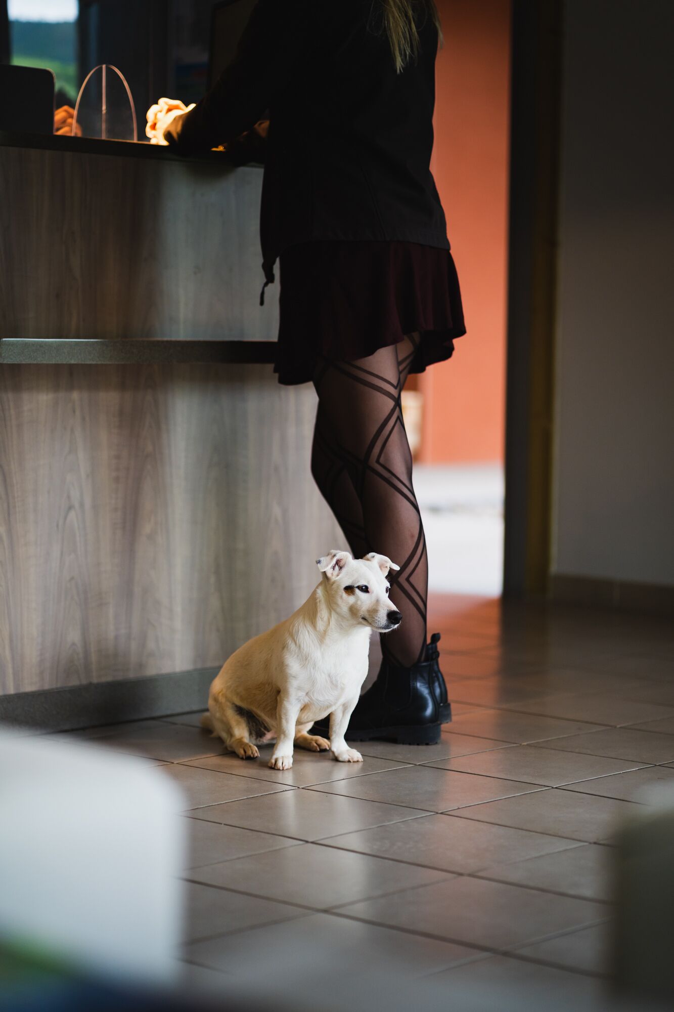 Una persona de pie en la recepción, con un perro sentado en el suelo.