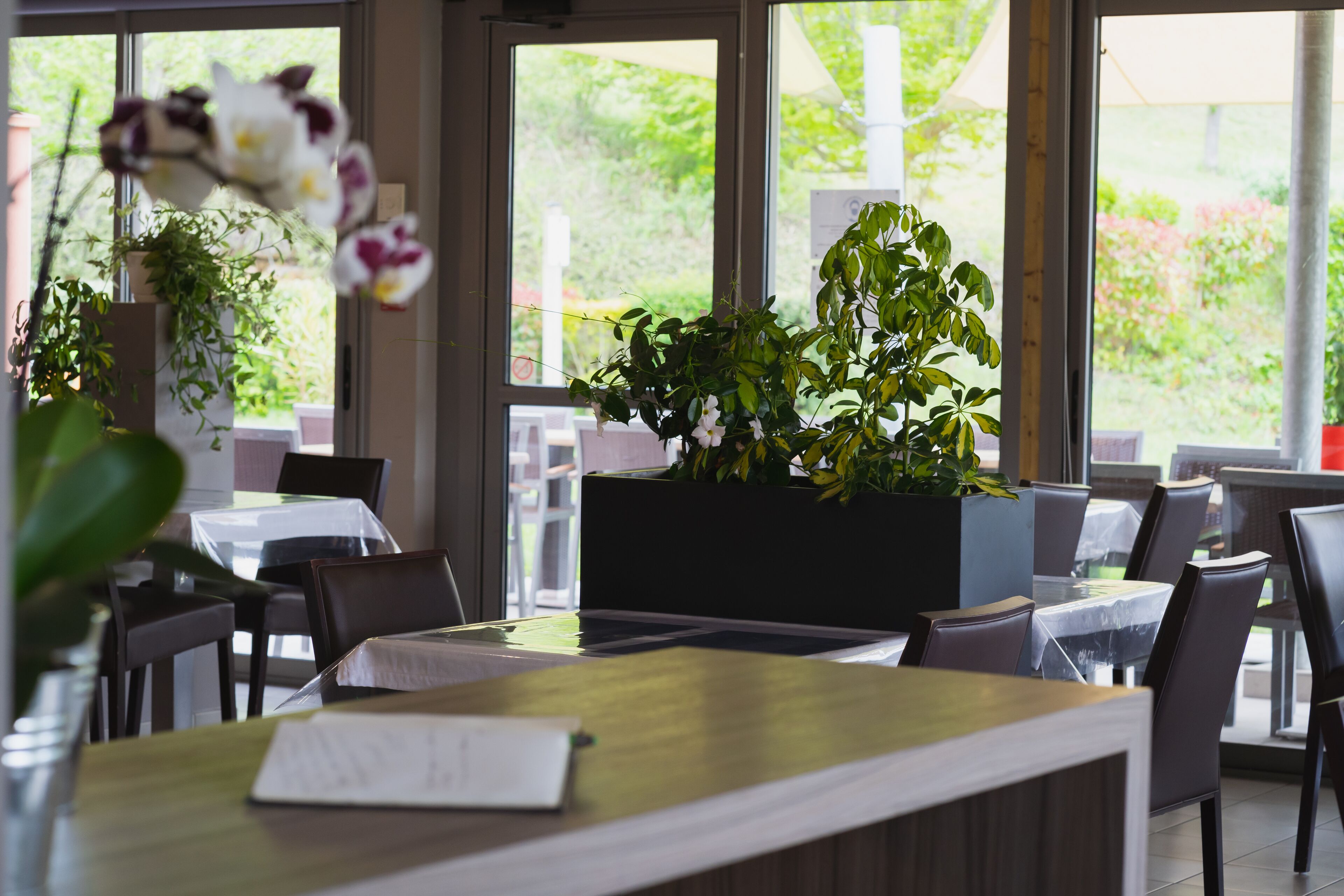 A restaurant interior with tables, chairs, and potted plants.