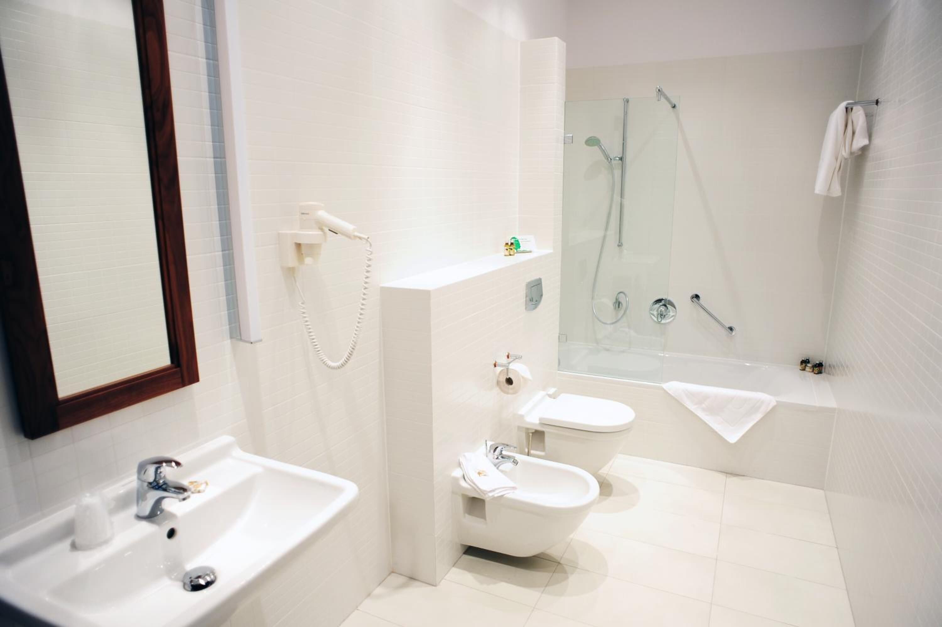 free toiletries, hair dryer, bidet, towels