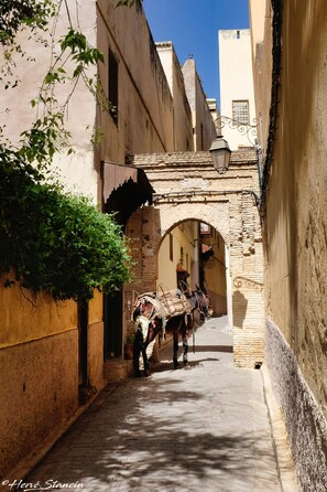 A narrow street with an arched doorway, a horse-drawn carriage, and a lamp post.