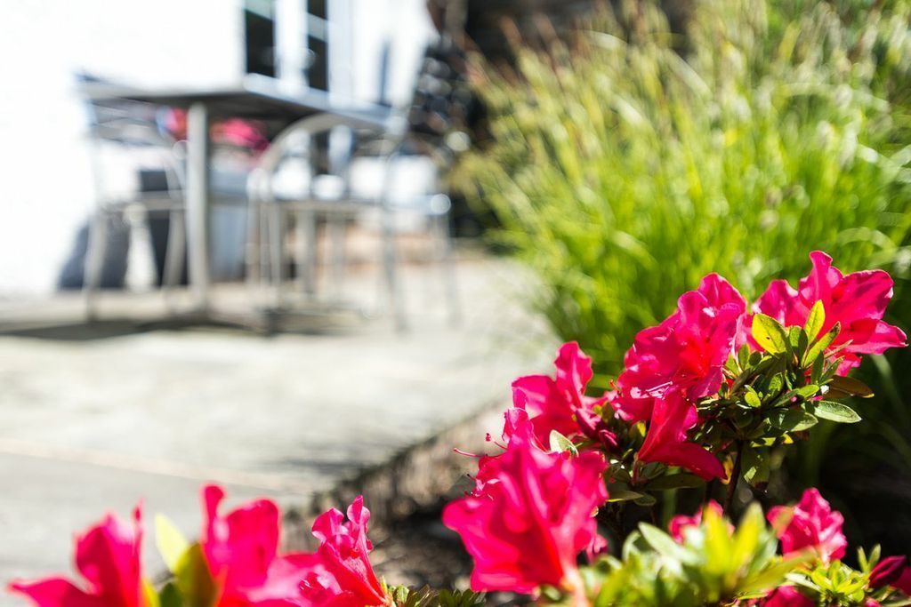 A garden with vibrant pink flowers and a patio area with outdoor seating.