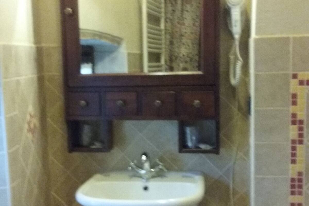 double room | bathroom | shower, rainfall showerhead, hair dryer, bidet