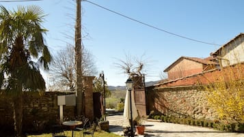 Un patio rústico con muros de piedra, una palmera y un sendero de grava que conduce a una puerta.