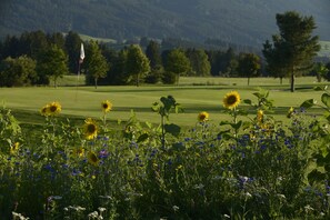 Golf - Hanusel Hof (Weitnau)
