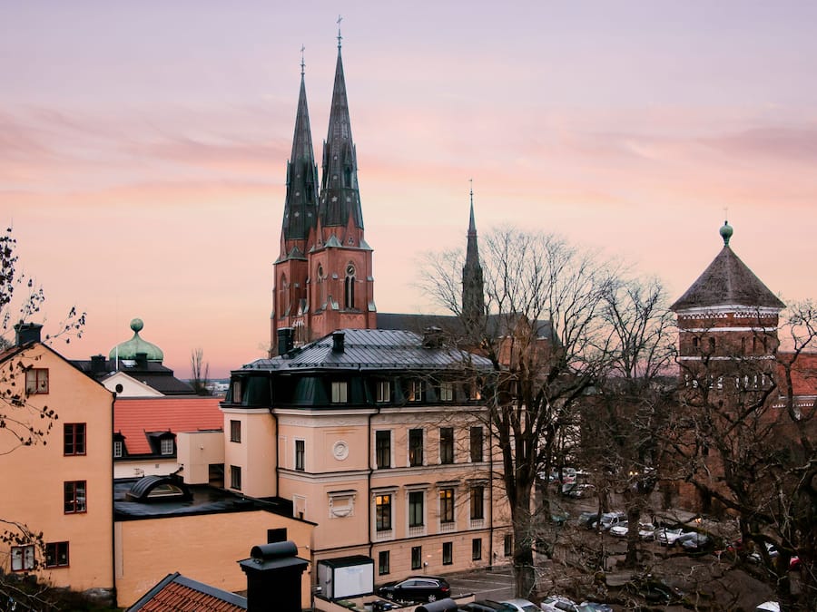 Vista desde la propiedad