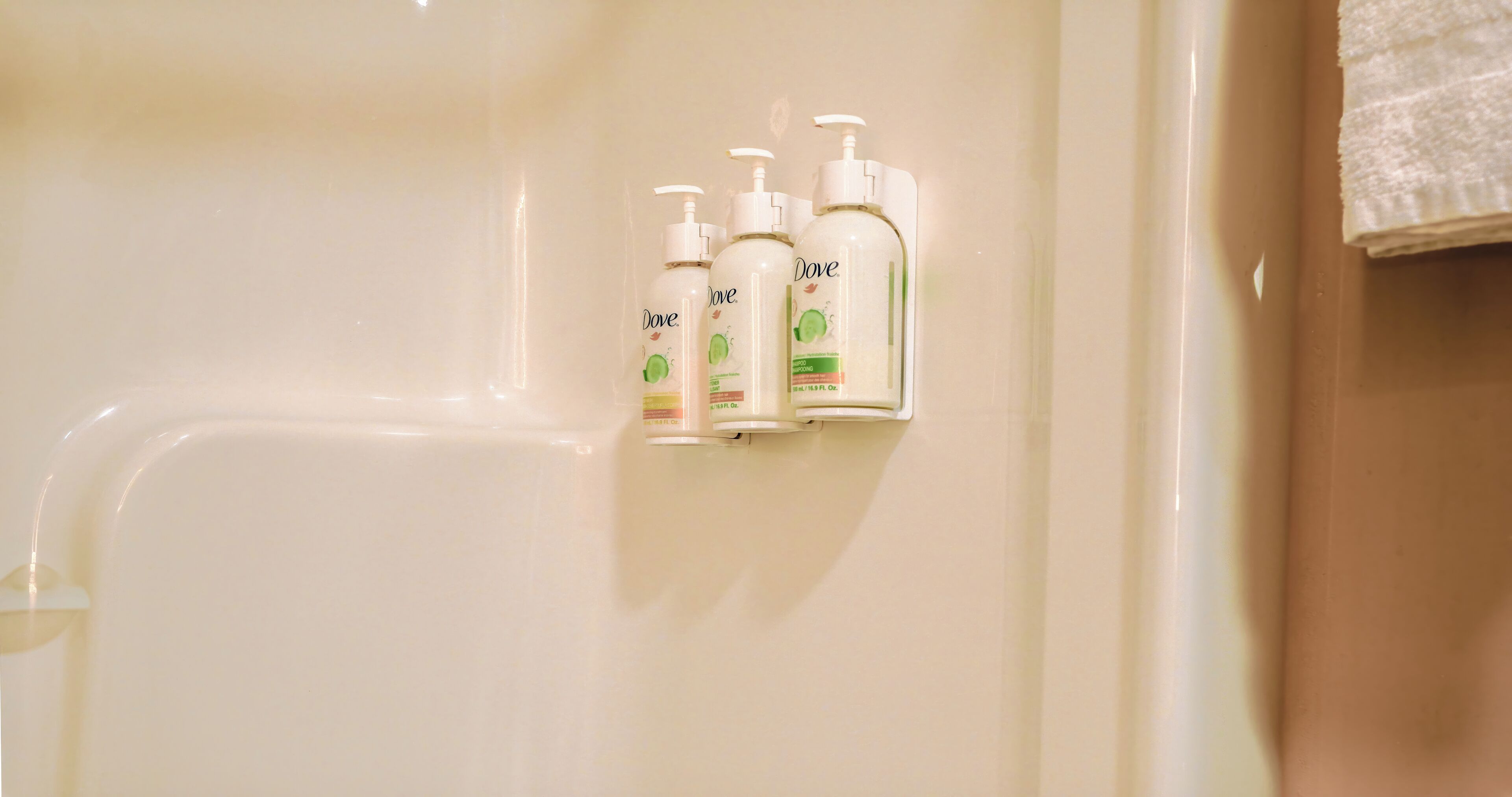 Photo - Super 8 by Wyndham Kingston