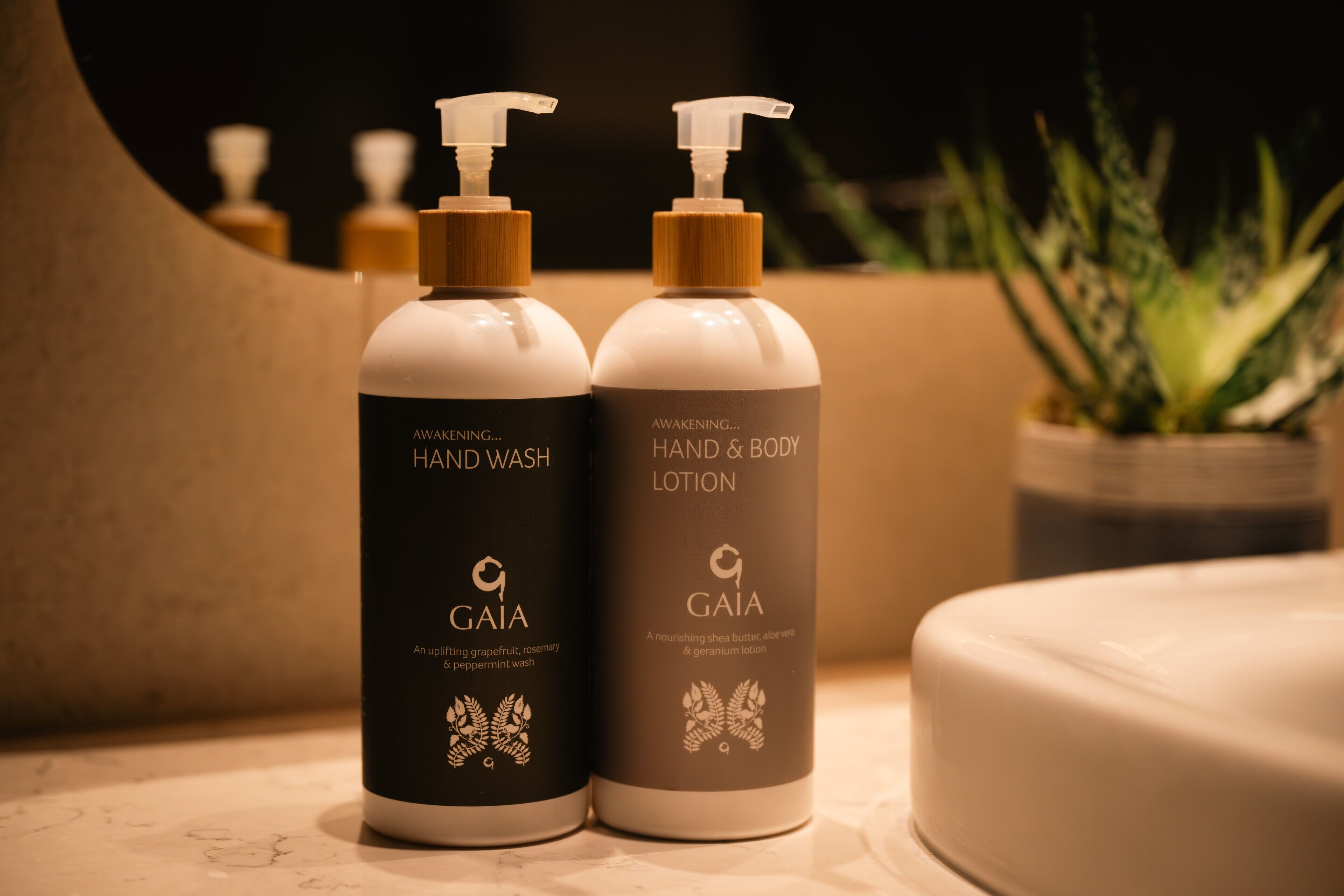 castle view suite | hypo-allergenic bedding, in-room safe, individually decorated