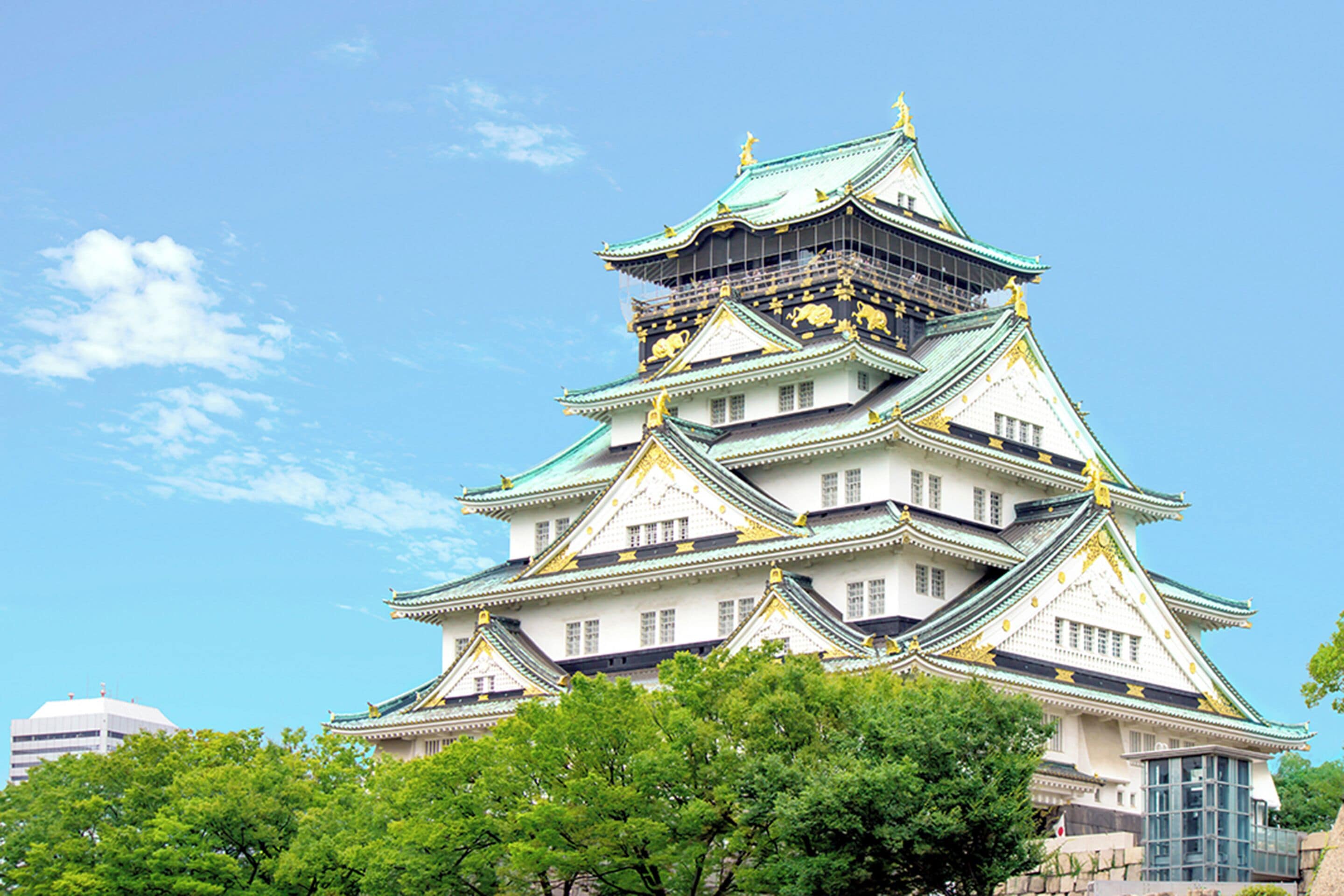 land view from property