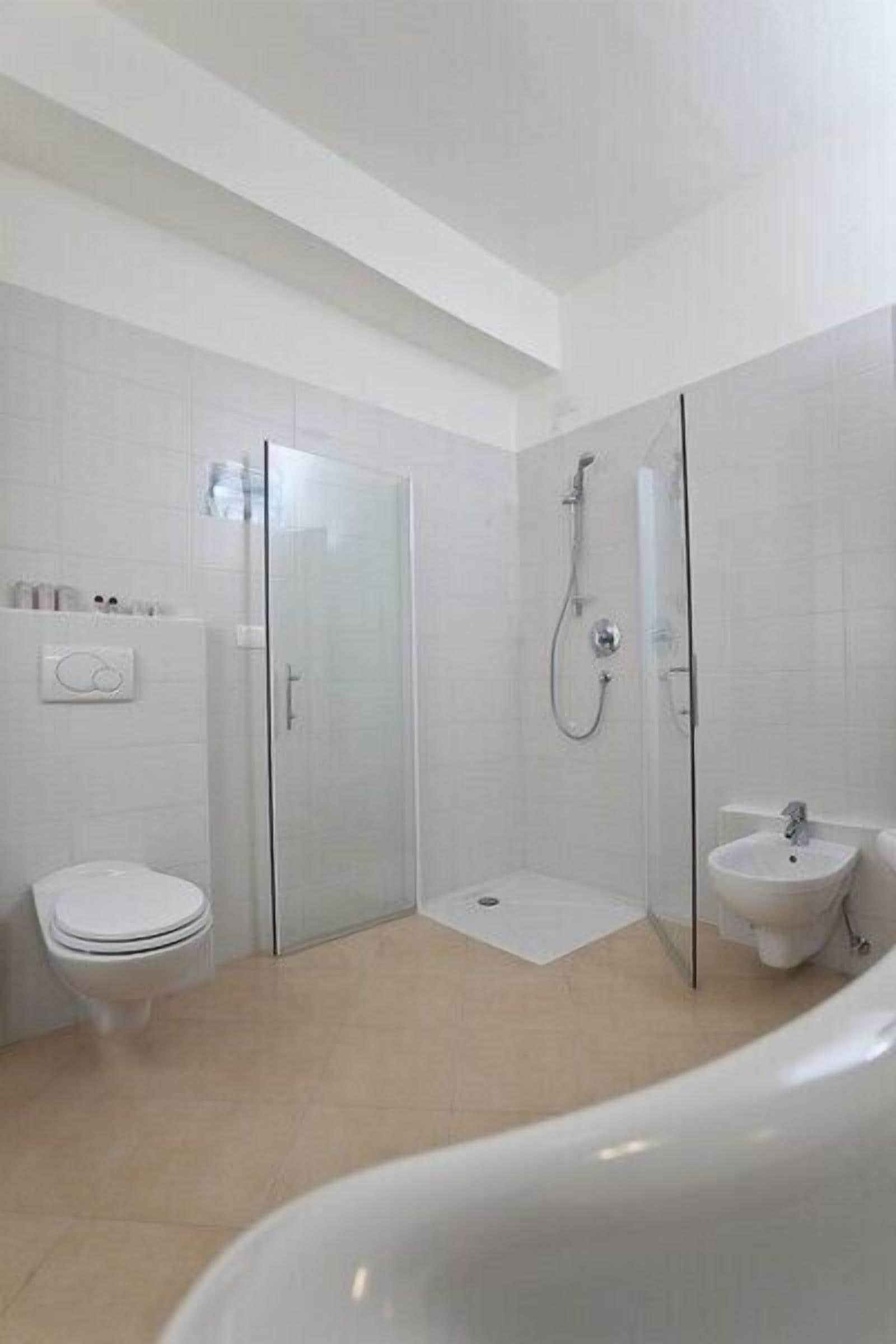 shower, free toiletries, hair dryer, bidet
