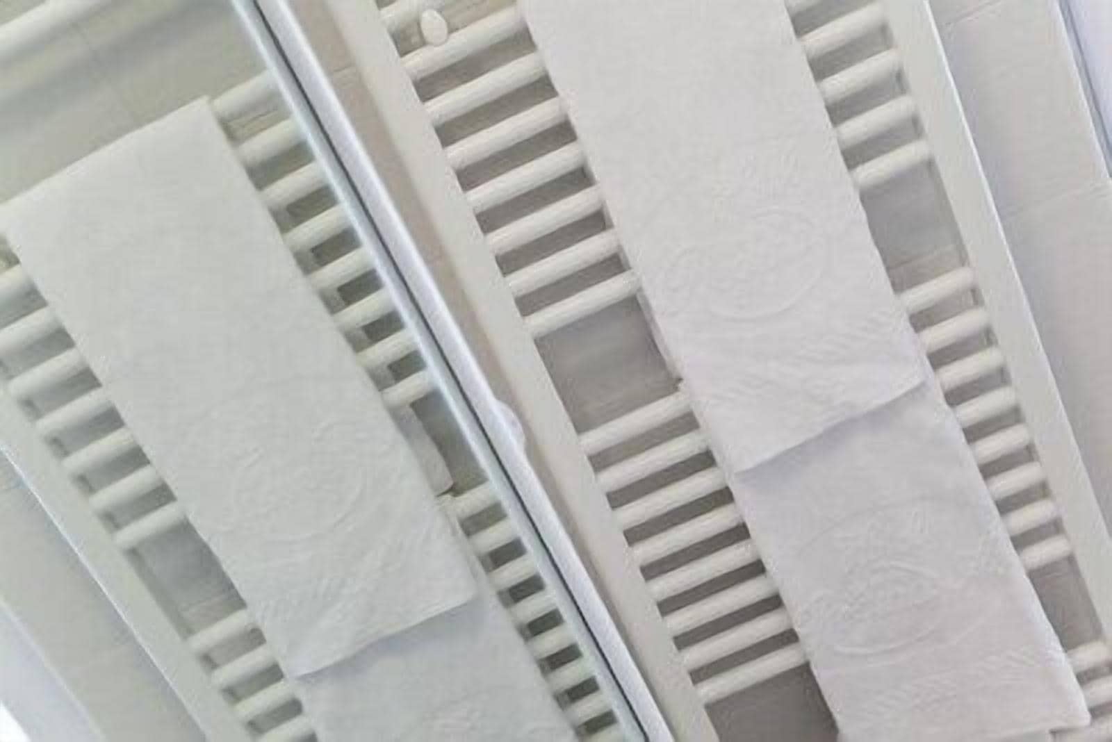 shower, free toiletries, hair dryer, bidet