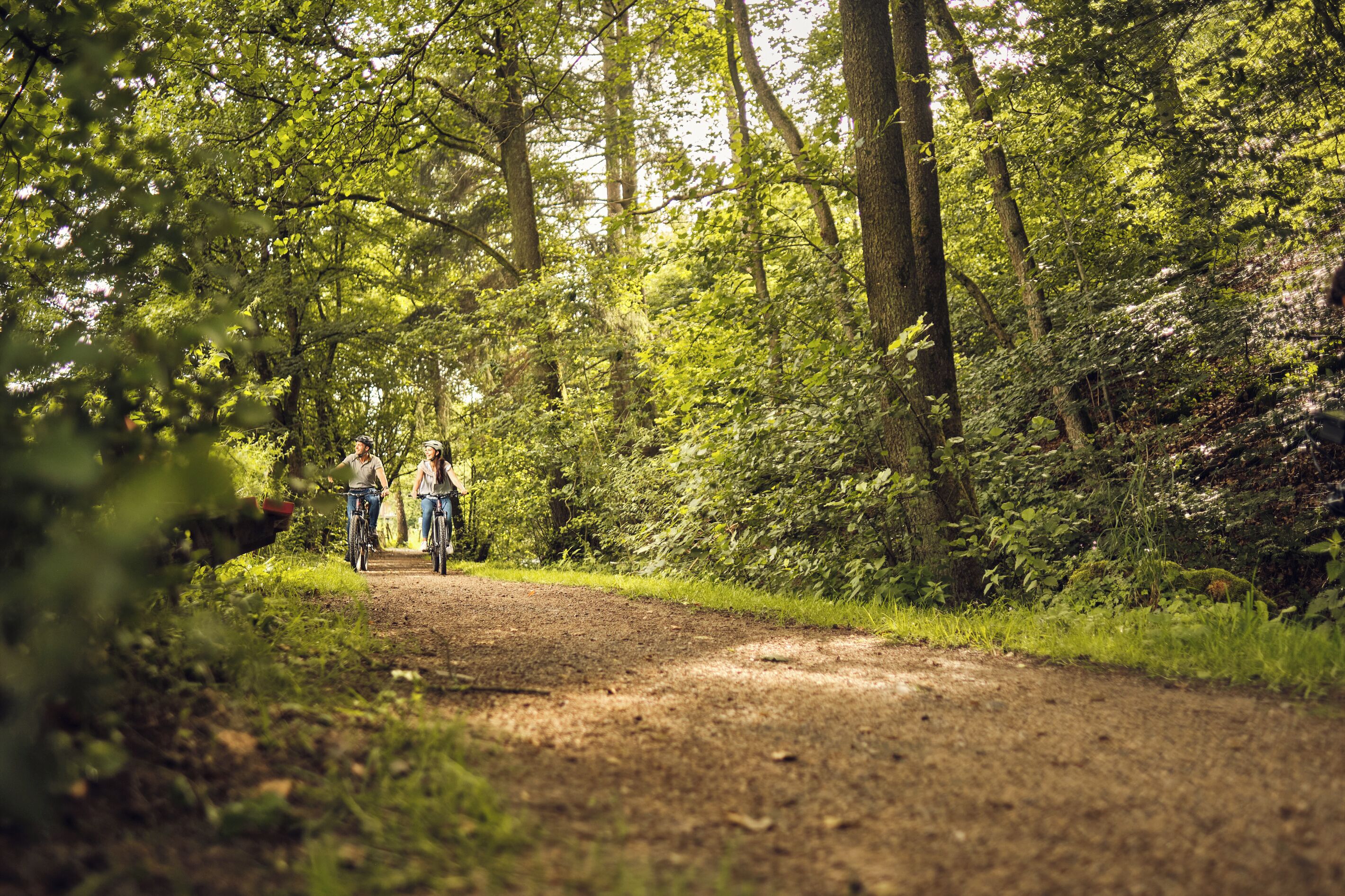 A dirt path in a forested area with two people on bicycles.