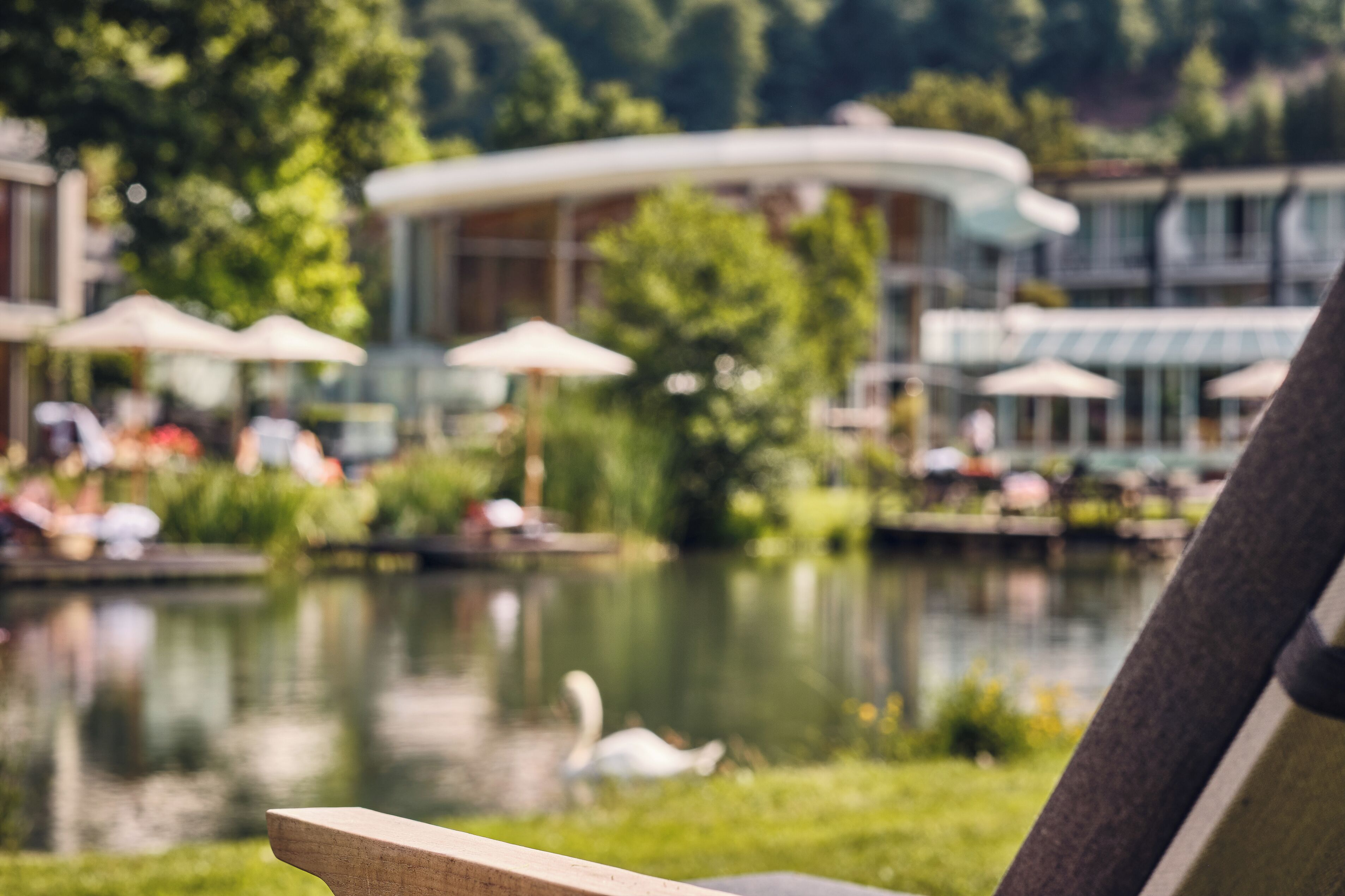 A lakeside view with a swan, umbrellas, and a curved building in the background.