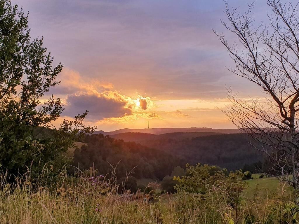 A landscape with a sunset over rolling hills and a tree in the foreground.