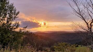 A landscape with a sunset over rolling hills and a tree in the foreground.
