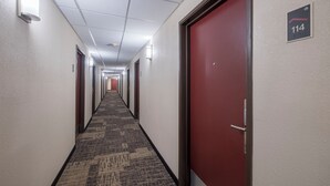 A hotel hallway with doors on both sides, carpeted floor, and overhead lighting.