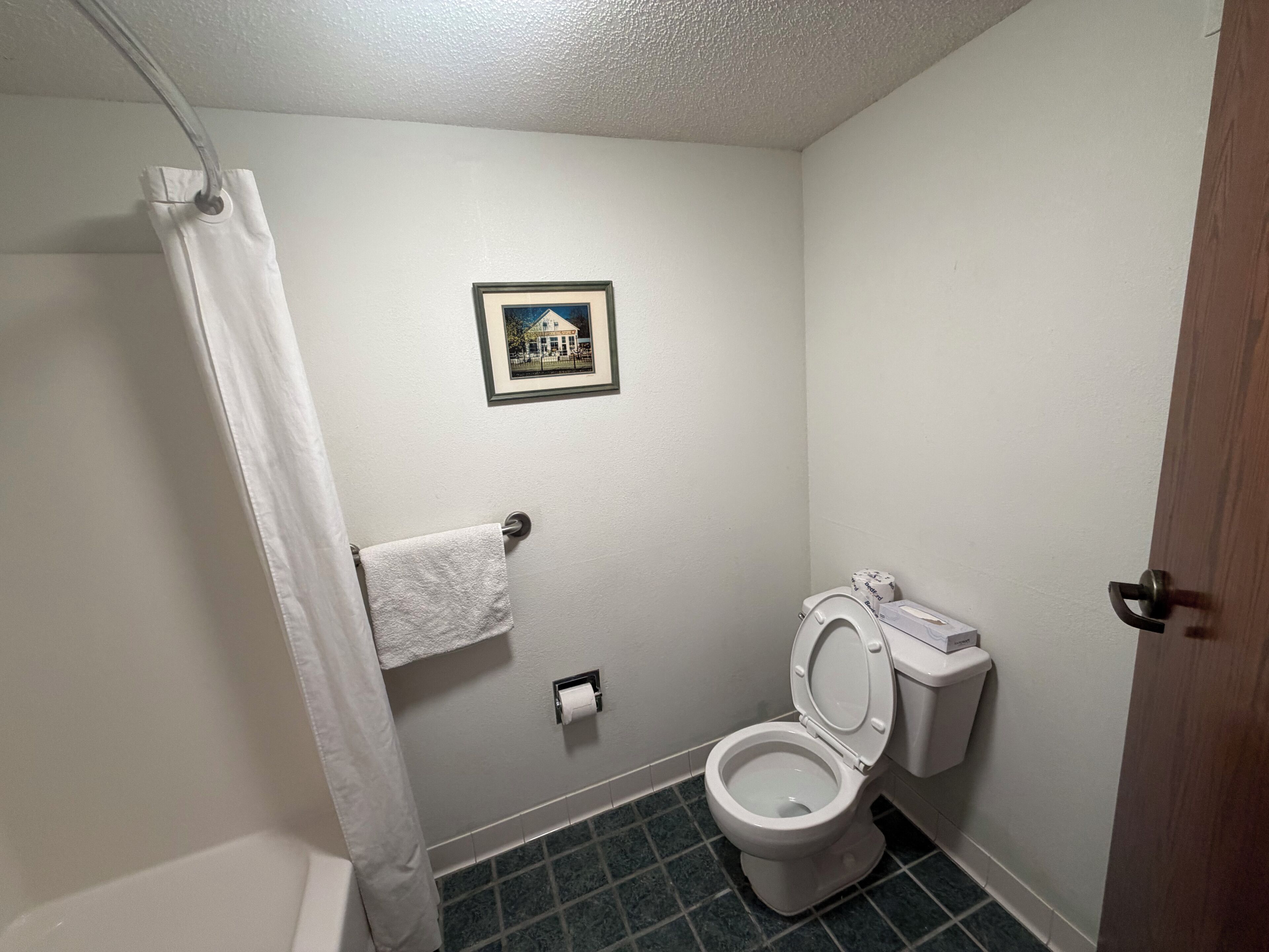 Un baño con inodoro, cortina de ducha, toallero y un cuadro en la pared.