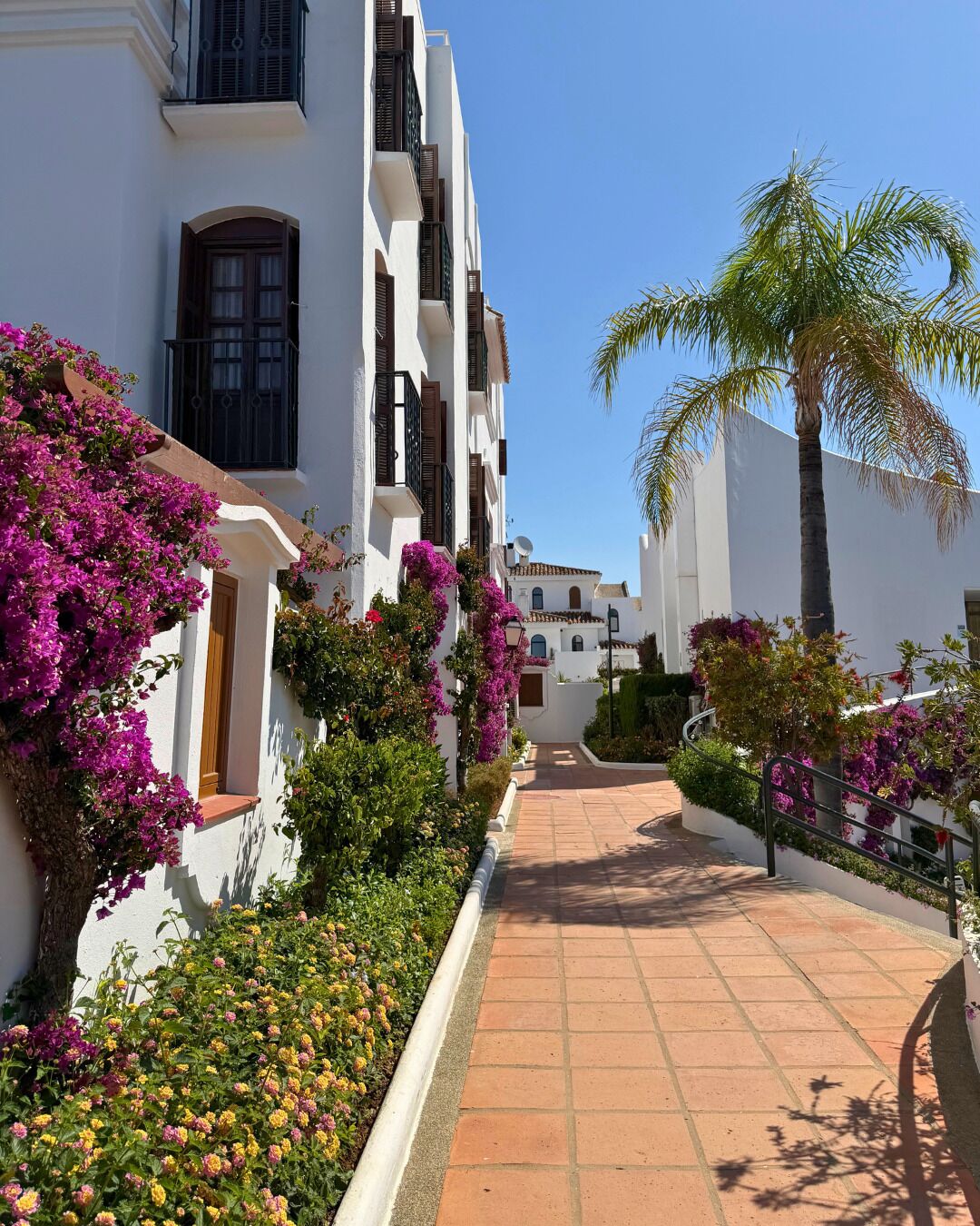 A pathway leading to a building with white walls and balconies, surrounded by vibrant bougainvillea and flowering plants.