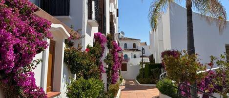 A pathway leading to a building with white walls and balconies, surrounded by vibrant bougainvillea and flowering plants.