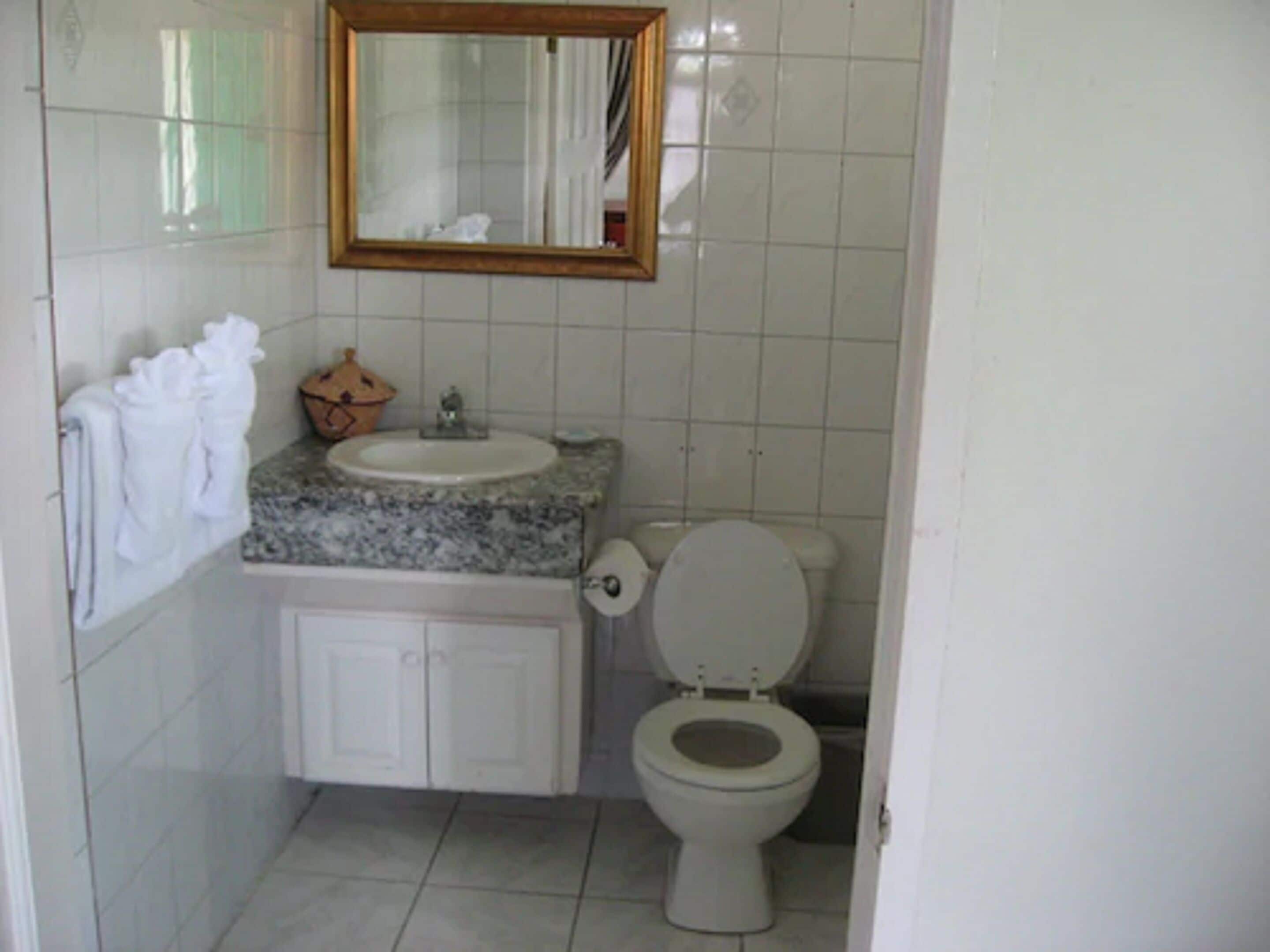 Een badkamer met een marmeren aanrecht, een spiegel met houten lijst, witte kastjes en een toilet.