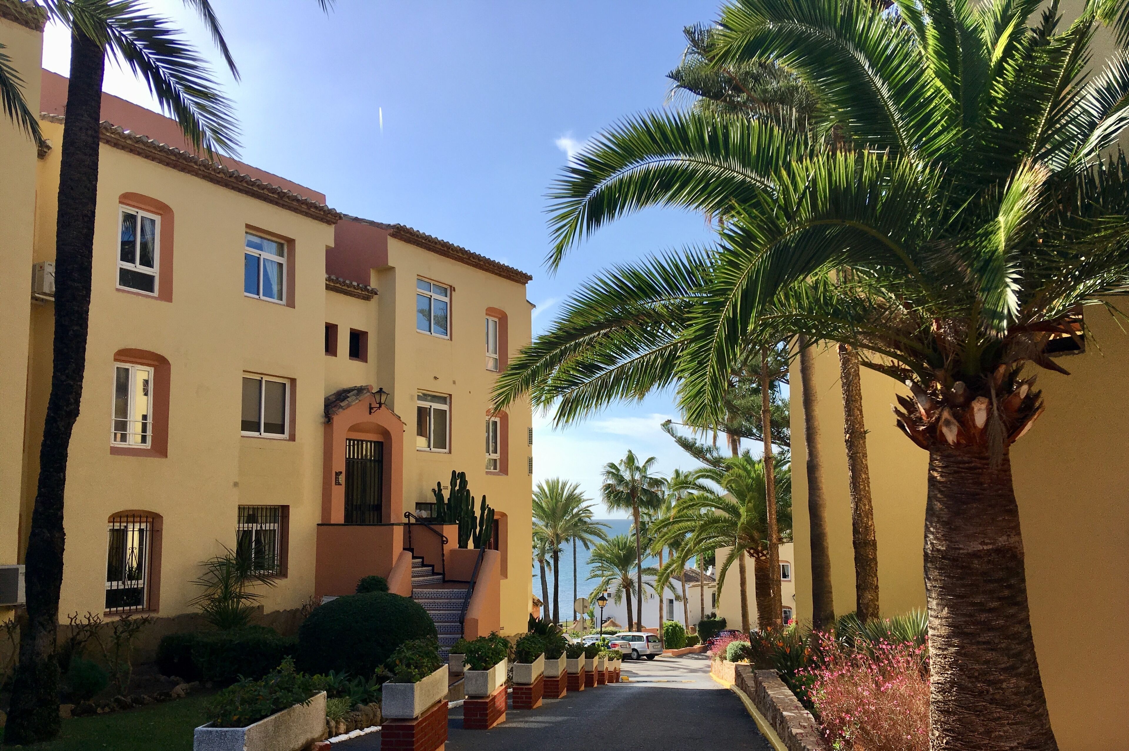 A residential street with a row of two-story buildings, palm trees, and a clear sky.