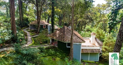 The Tall Trees Munnar